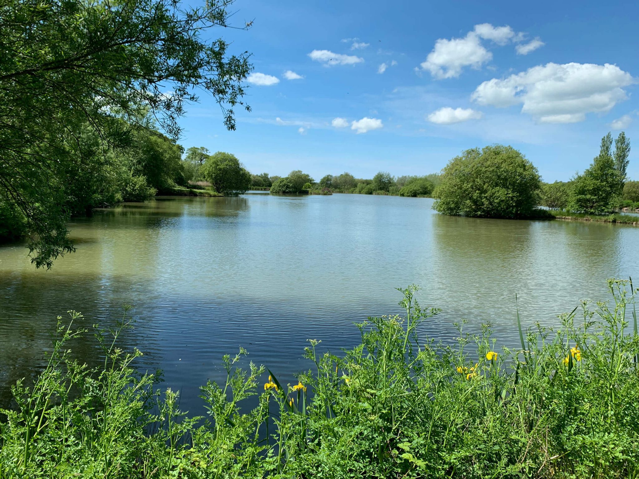 Carp Fishing Lake Holidays With Accommodation - IMG 0335 2048x1536