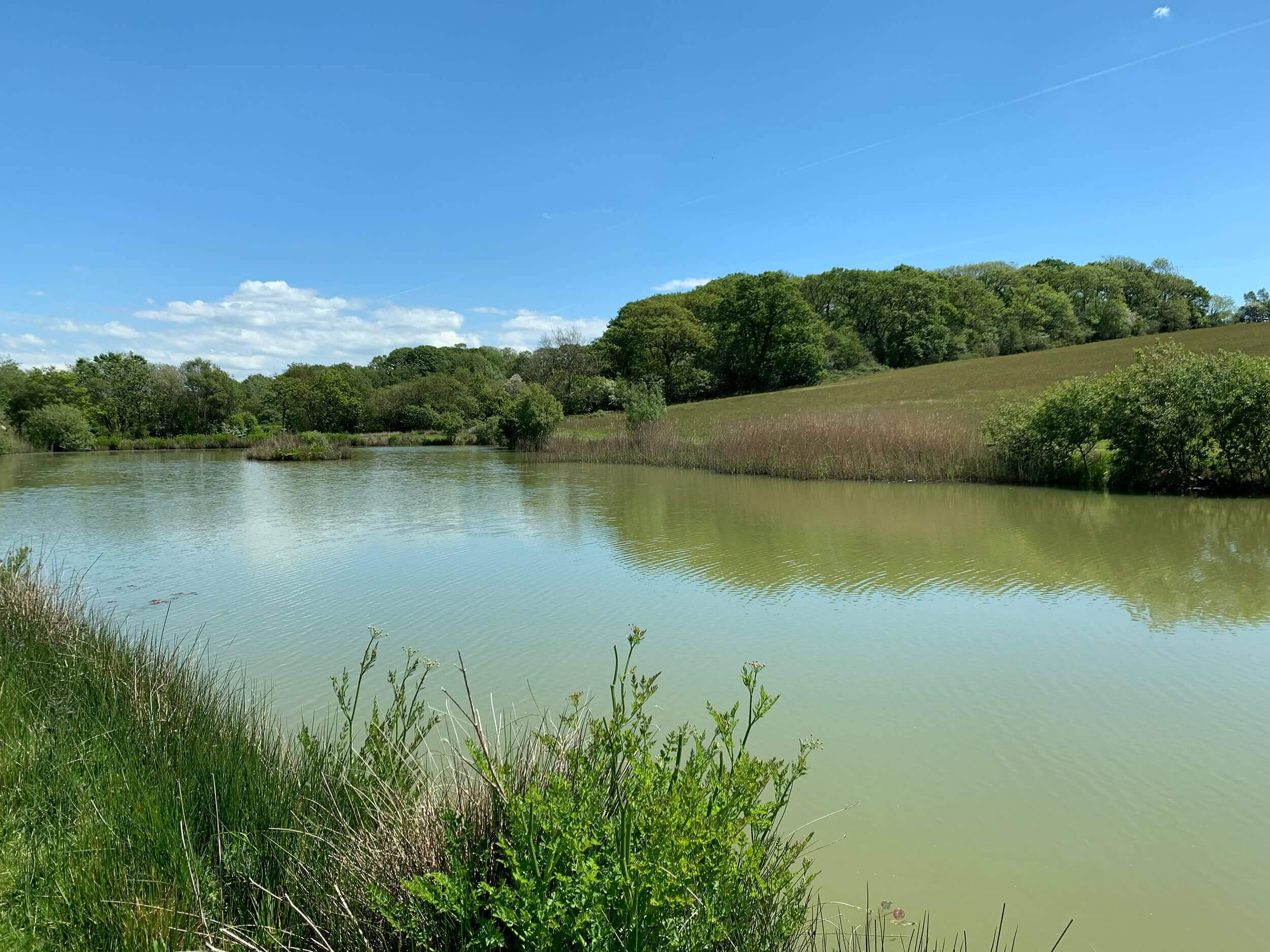 Carp Fishing Lake Holidays With Accommodation | Clawford Lakes